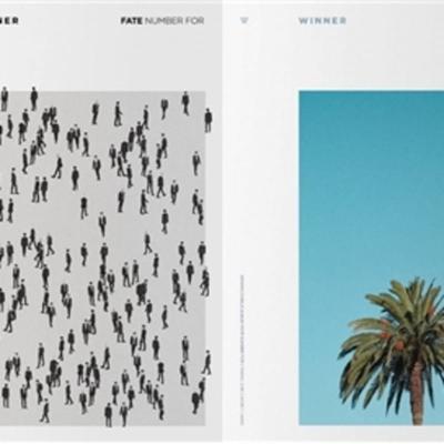 Winner - FATE NUMBER FOR