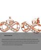 S925 Sterling Silver Infinity Stud Earrings for Women - Rhinestone Inlaid, Light Luxury Fashion Jewelry
