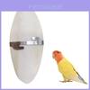 Pet Bird Chewing Treats With Odorless Calcified Cuttlefish Bone For Parrots And Small Birds