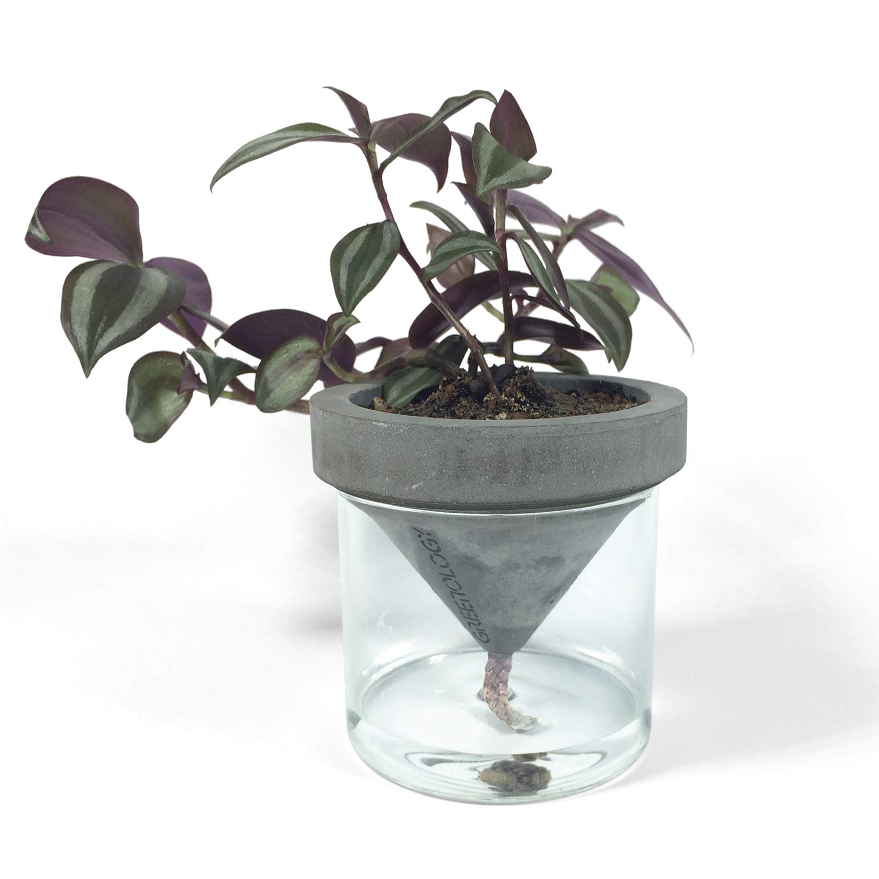 

Greenology HKSGDA Золотой Награды Дизайнерский Горшок для Растений 8см В x 8см Ш x 9см В Самополив GR-175 (МАЛЕНЬКИЙ) золотой