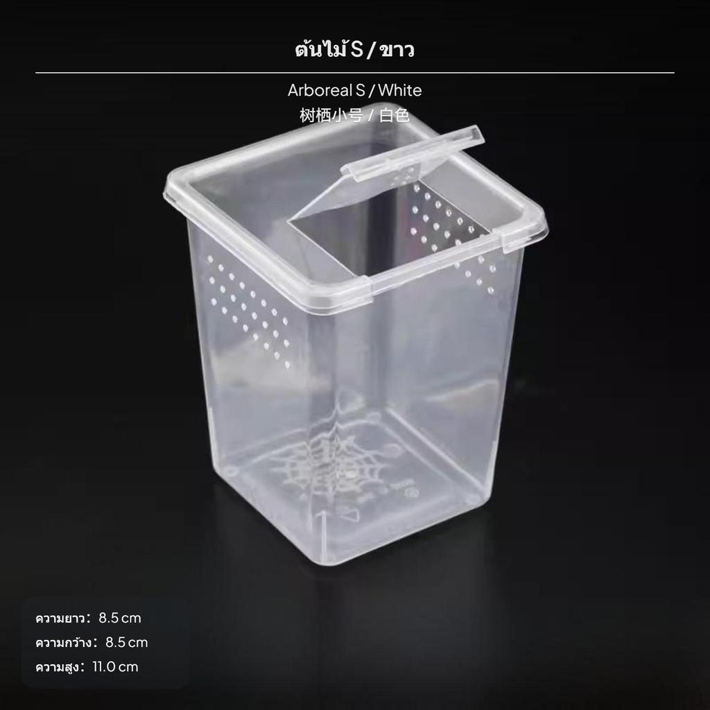 amphibian Breeding Box, Transparent PP Habitat enclosure, Stackable arachnid enclosure Mini