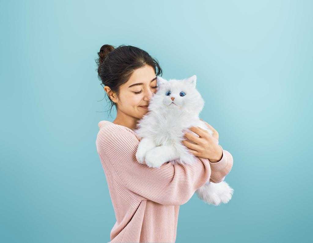 SEGA FAVE KIMIT Ragdoll (Brown) Pet Robot Cat