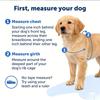 Imbracatura per Cani Regolabile Anti-Tiro Gilet di Sicurezza per Cani di Taglia Grande Nylon Resistente Pettorina per Animali Domestici Gilet da Passeggio con Anello a D Metallico per un Controllo Sicuro all'Aperto