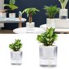 Transparent Hydroponic Planter Plastic Water Storage Flower Pot Durable Potted Flower Pot  Garden