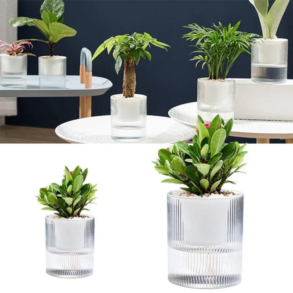 Transparent Hydroponic Planter Plastic Water Storage Flower Pot Durable Potted Flower Pot Garden