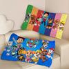 Popular Children Animation P-Paw Quick-Dry Polyester Pillow Towel Pillowcase Sweat-Absorbent & Breathable For Daily Use