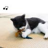 Interactive Toy for Cats Cute Plush Birds Toy Plush Birds Shape with Realistic Bird Sounds for Cats Alone Exercise