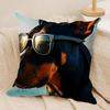 Handsome Doberman Cushion Cover Pillowcase Ultra Soft Skin Friendly Fabric Cloud Like Comfort & Concealed Zipper