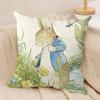PPeter rrabbit Anime Cushion Cover Silky Short Plush Invisible Zipper Dustproof Sofa Pillow Case for Home Decor