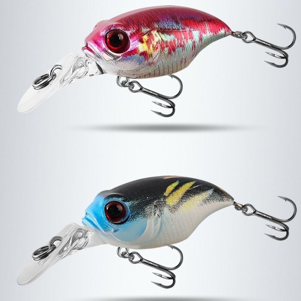 Professional Plastic Fishing Lure 5 Colors 3D Printed Floating Minnow Baits 5.8cm 6g Artificial Lures Fishing