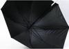 Basic Standard Long Sun Rain UV Cut Special Inner Light Heat Fiberglass Automatic Cute Character Black Umbrella, Umbrella, Umbrella, Women's, 58cm,