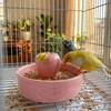 Anti-Omval Vogelvoerbak Bijtbestendige Hamster Waterbak voor Vogels Papegaaien Konijnen