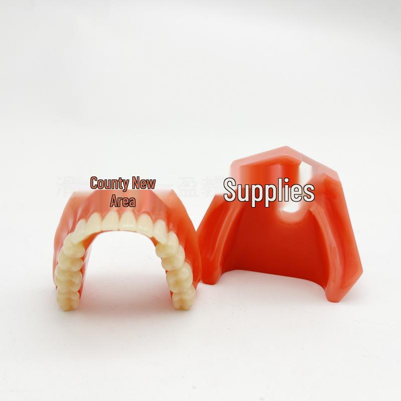 Modello Didattico Dentale: Arcata edentula con protesi rimovibile e 2 impianti