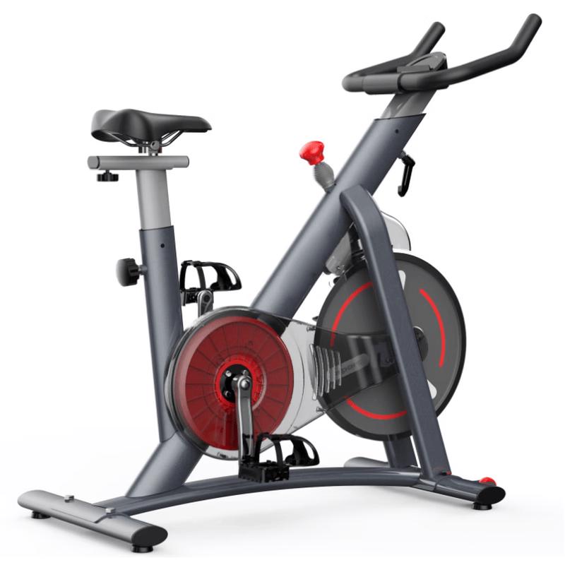 Hengtao Dynamic Exercise Bike