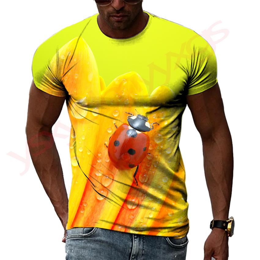 

Божья коровка падение красивый фон новые мужские и женские футболки 3D принт HD узор хип-хоп круглый вырез футболки короткий рукав топы 5XL