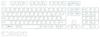 FILCO Majestouch Replacement PBT Molded Keycap Japanese 108 No Kana Color Keycap Set Two-Color Set, Asphalt, Layout, Keys, Printing, (JIS)