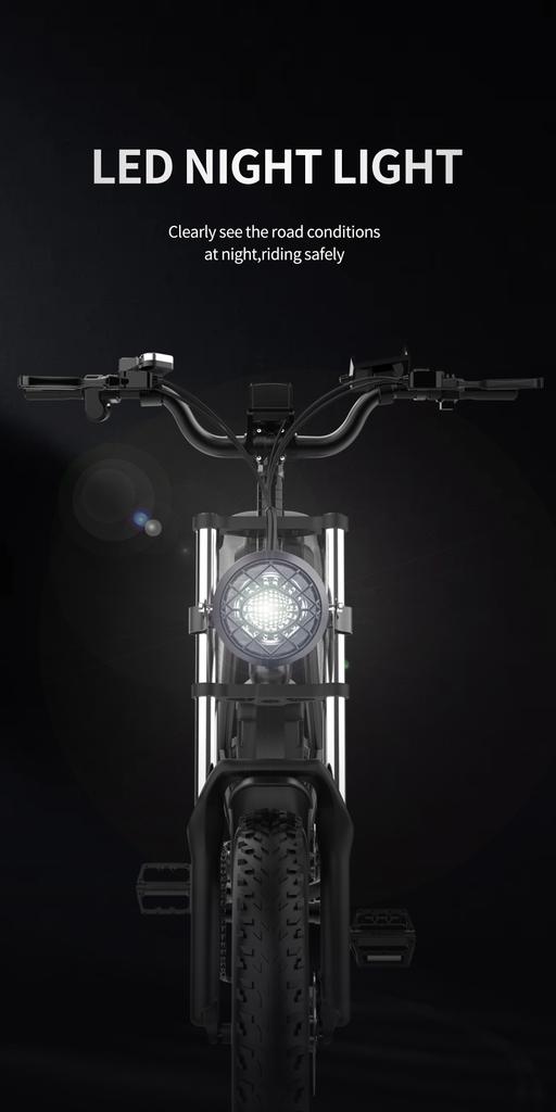 Ridstar Q20pro Electric Bike 2000W 52V 40AH Waterproof Powerful Dual Motor 20*4.0 Fat Tire For Mountain Electric Bicycle For Adult