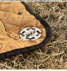 Stainless Steel Tent Canopy Rope Hook with Round Washer