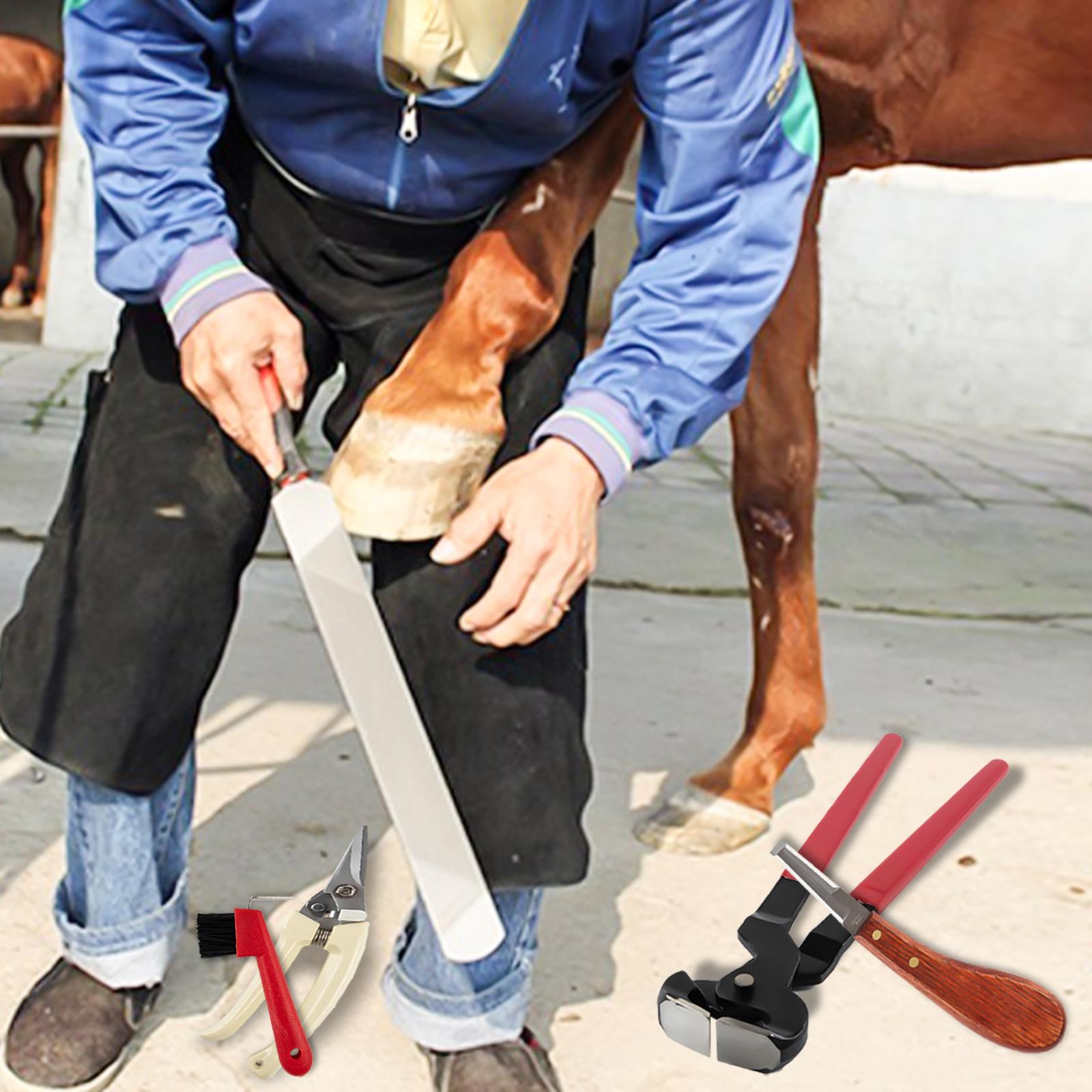 Kit D'outils Pour Maréchal-ferrant (cheval) - Pinceau, Râpe, Pick, Couteau, Marteau, Brosse - NEUF