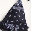 Women's Bandana Paisley Print High Waist Bikini Set, Halter Two Piece Swimsuit