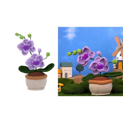 Crochet Potted Plant Kits for Beginner DIY Crochet Flower with Yarn Crochet Hook Needle Knitting Marker Instruction