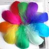 Natural Goose Feathers Plumes 8-12cm Swan Feather Plume for Home Decoration Craft DIY Wedding Jewelry Accessories 100Pcs
