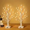 24 LED Easter tree, birch tree adjustable branches 3AA and USB power supply, bedroom decorative tree light 60cm