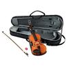 Braviol V5SC 1/10 Size Violin Set for Ages 5-6 (Height 105-110cm) - Handcrafted with Lightweight Case, Bow, and Rosin