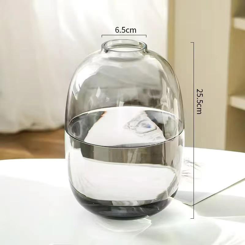 Minimalist Large Belly Glass Joy Vase for Hydroponic and Indoor Green Plants, Japanese Style