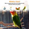 2-10Pcs Bird Perch Stand Wood Parrot Perch Toy Multi-role Training Play Stand Platform Practical Cage Accessories Bird Supplies