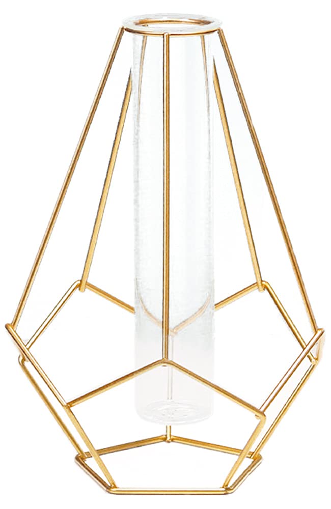 

Stylish Nordic Gold Glass Flower Vase, Cute Large, Perfect for Dried Flowers, Interior Decor, Simple Geometric Design
