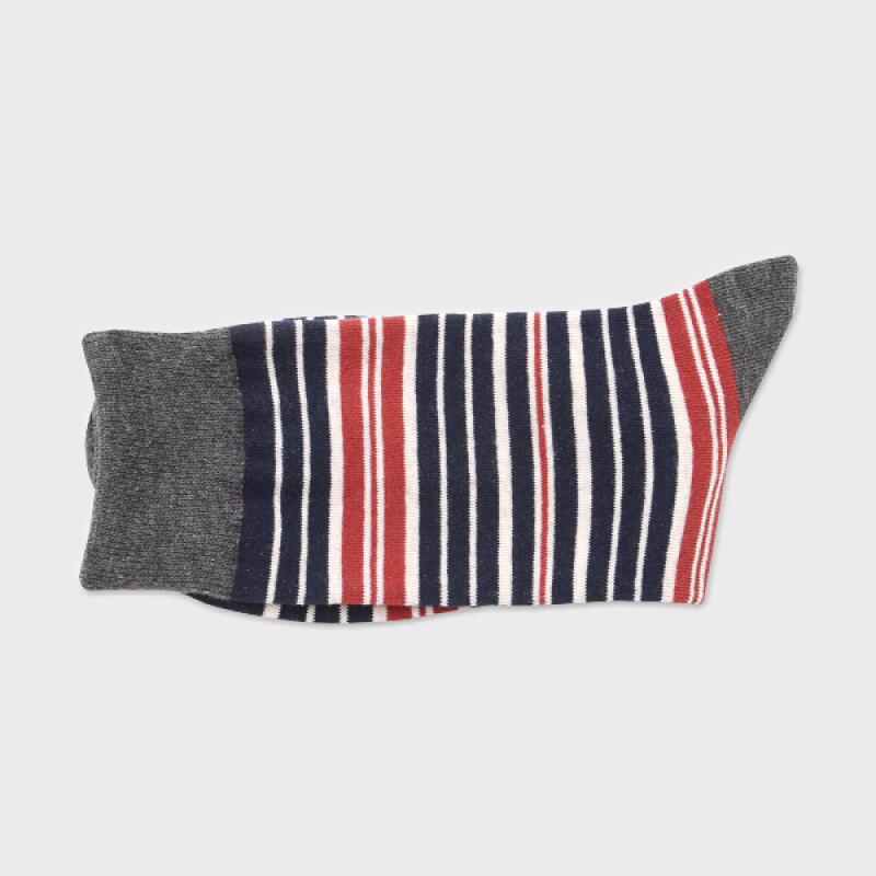 

Beaver Stripe Socks