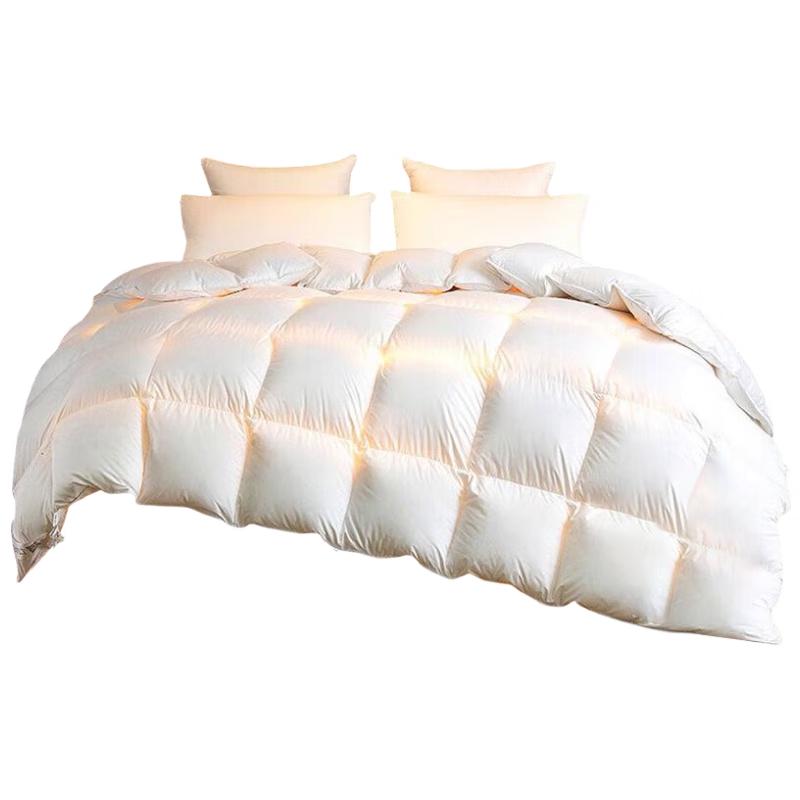 

Dynasty Furniture Anti-Drill Duck Feather Winter Quilt 200cm x 230cm