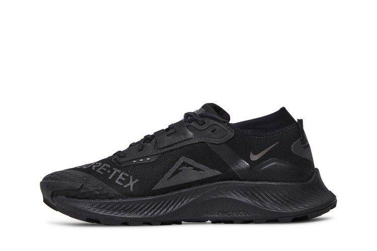 Nike Pegasus Trail 3 GTX 'Triple Black'