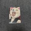 [USED] Straykids AIN Trading Card MAXIDENT SKZOO