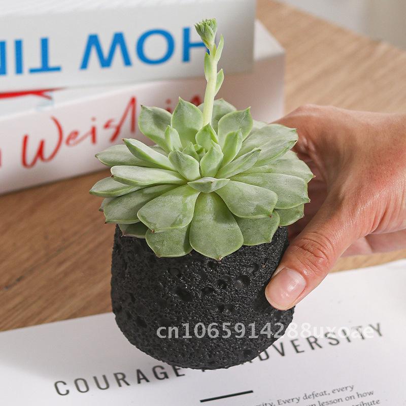 Milk White Creative Volcanic Stone Pattern Cement Succulent Flower Pot Office Home Desktop Decoration Green Plant Flowers
