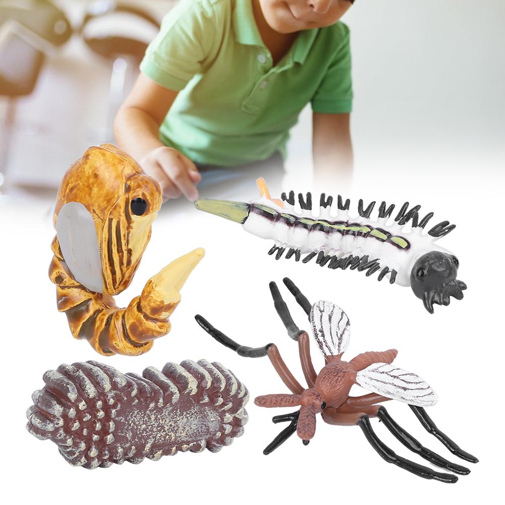 Mosquito Growth Cycle Model Children Miniature Simulation Animal Early Education Statue Toy