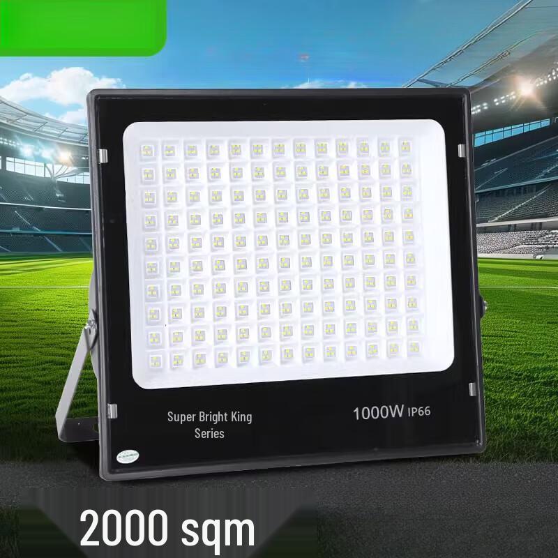 Jun Ding Camp 100W LED Outdoor Floodlight