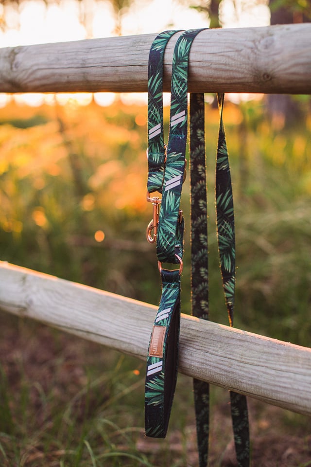 Short Leash 2cm X 150cm Forest Gold