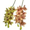 One Artificial Cymbidium Hookerianum 10 Heads Simulated Vanda Cymbidium Tropical Phalaenopsis Tiger Orchid Plant