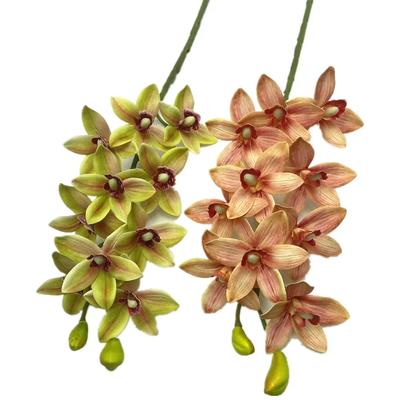 One Artificial Cymbidium Hookerianum 10 Heads Simulated Vanda Cymbidium Tropical Phalaenopsis Tiger Orchid Plant