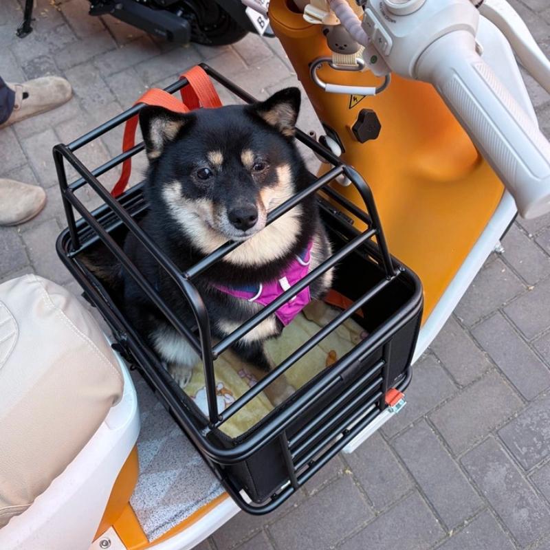 Electric Scooter Dog Basket for Bike Motorbike Pet Carrier for Back Seat Motorcycle Cat Crate Bicycle Front Mounted Dogs Carrier