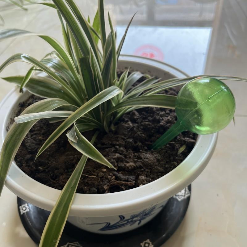 

Полив Цветка Имитация Стекла Ленивый Круглый Растение Цветок Контроль Капля Капельный Полив Открытый Сад Поливные Аксессуары S-Green