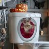 Halloween Toilet Sticker Horror Funny Sticker Self-Adhesive Decorative Sticker Toilet Toilet Lid Sticker