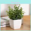 Faux Eucalyptus Plant Small Potted Plastic Home Decor For Living Room Desktop