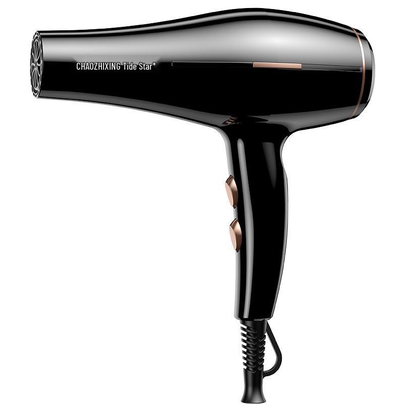 High-Power Hair Salon Dryer for Homes