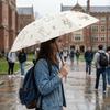 Sun Protection Dual-Use Umbrella UV Protection Folding Umbrella Travel Rain Umbrella  Beach