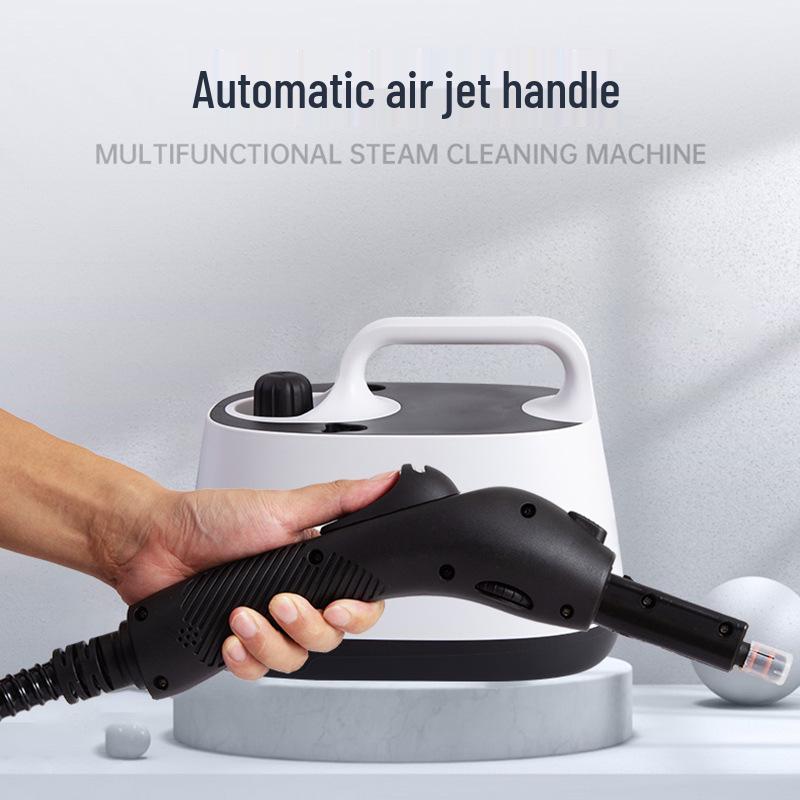 High-Temperature Steam Cleaner for Home, Auto Use, Formaldehyde Removal, & European/American Standards