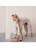 Winter Fleece Dog Jumpsuit,Four Feet Pet Rompers Pajamas,Puppy Outfits Sweater with Warm High Neck Design,For Greyhound Whippet