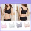 Seamless Plus Size Padded Sports Bra With Breathable Elastic And U Back Design